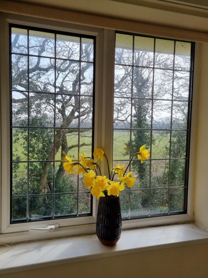 Lovely 2-Bedroom New Forest Apartment On A Farm نيو ميلتون المظهر الخارجي الصورة